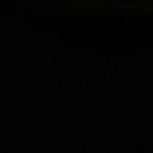 Meet your Posher, Alexander